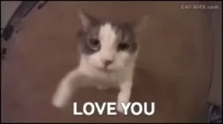 ❤️