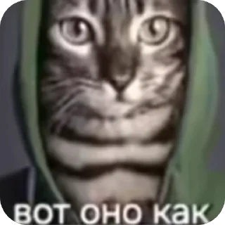 🫥