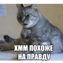 😒
