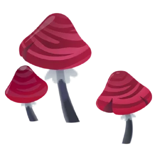 🍄