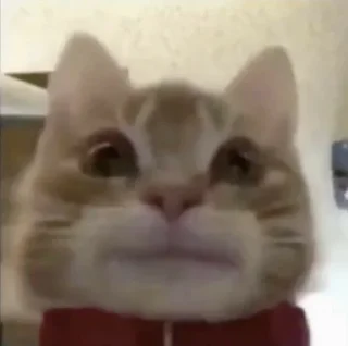 😐