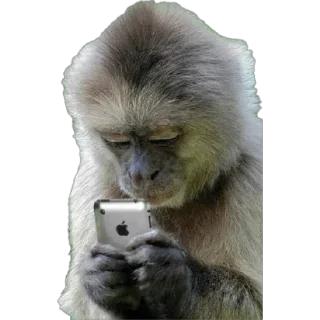 📱