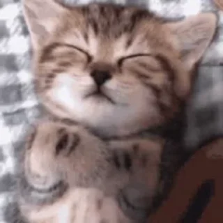😴