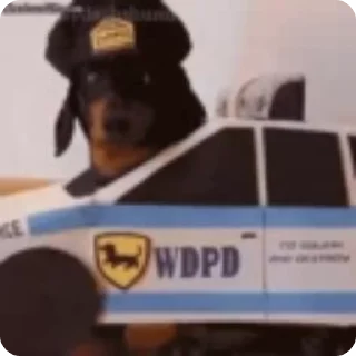 🚓