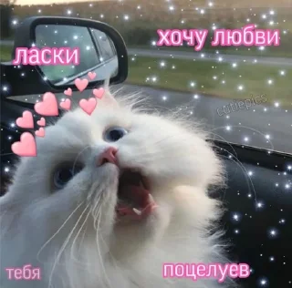 🥺