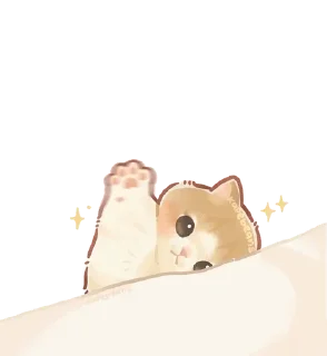 🌟
