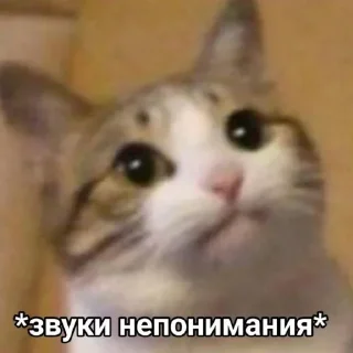 ❓