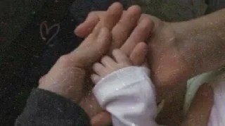 🐣