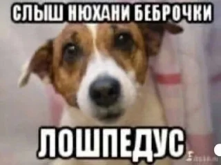 😴
