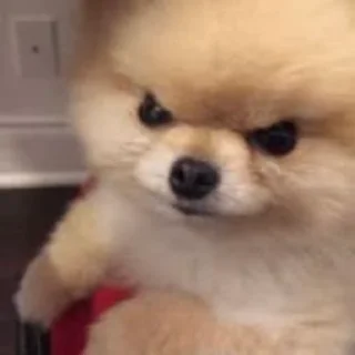 😠