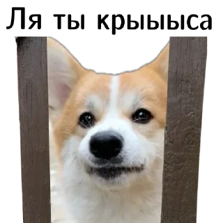 😤