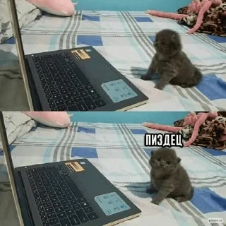 😐