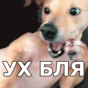😱