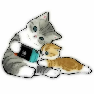 😺