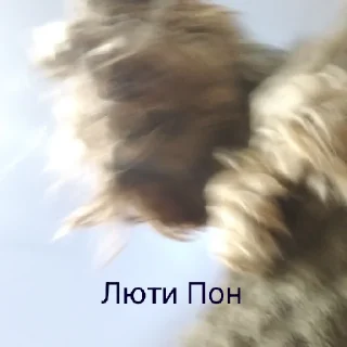 😎