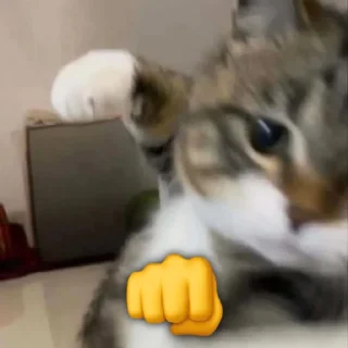 👊
