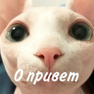 👋