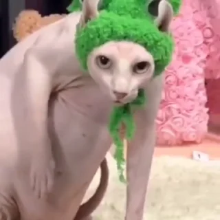 🤨