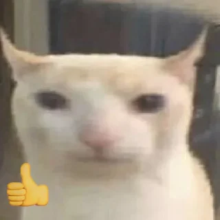 😺