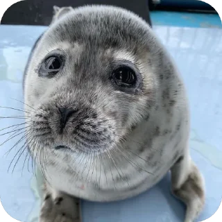 ❤
