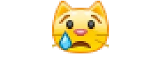 😿