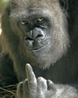 🖕
