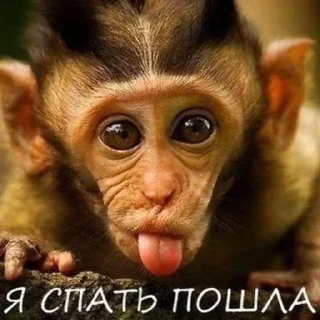 😘