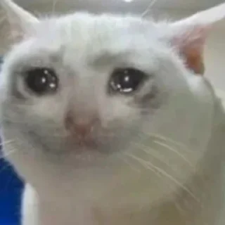 😭
