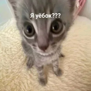 🤭