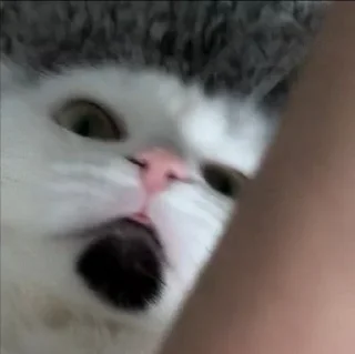 👀