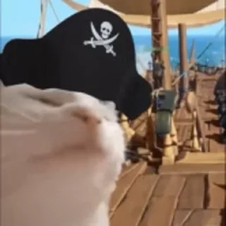 🏴‍☠️