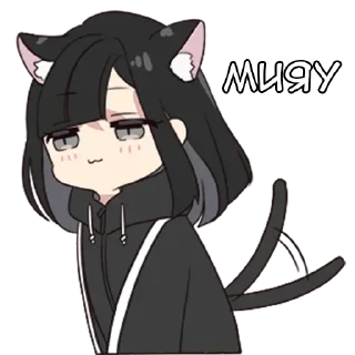 😸