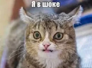 😦