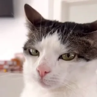 🤨