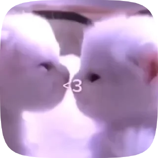 😘