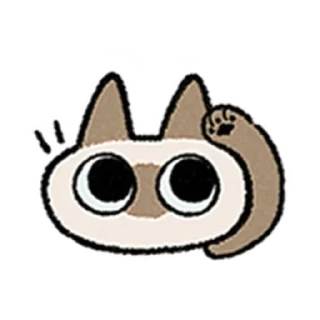 😺
