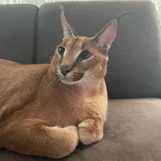 😊