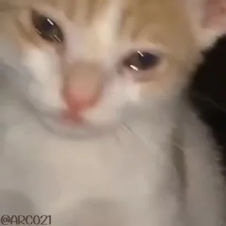 😭