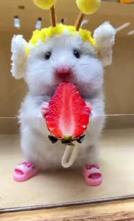 🍓
