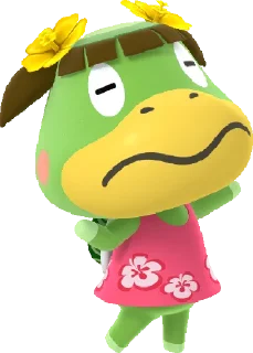 🐢