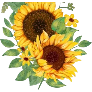 🌻