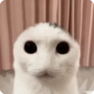 💀