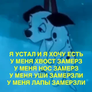 @hehbaldezh winter edition
