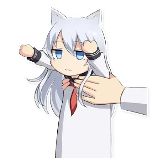 🐈