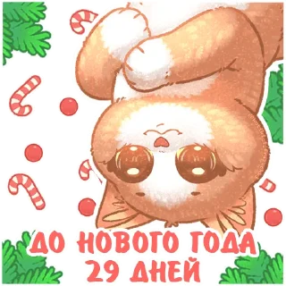 2⃣