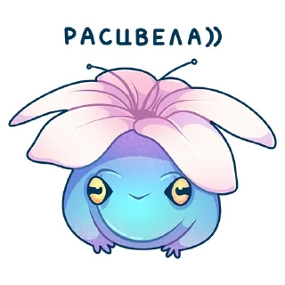 🌸
