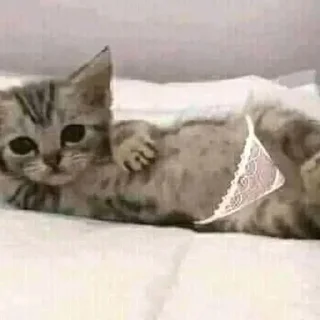 😏