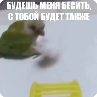 😤