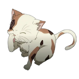 🐱