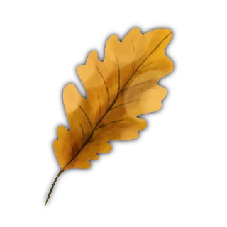 🍂